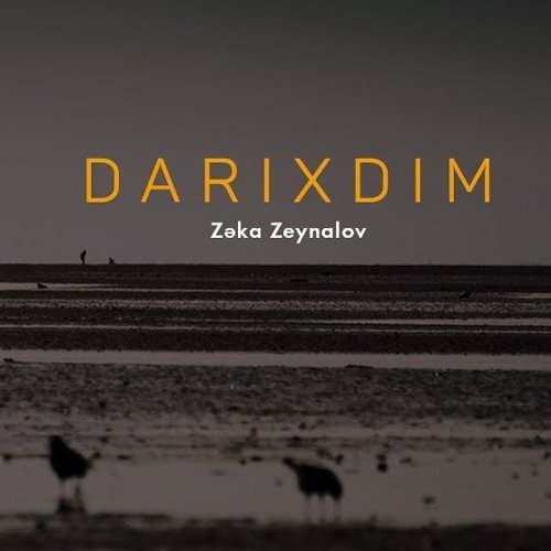 Zəka Zeynalov — Darıxdım