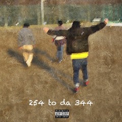 254 to da 344(Space Jungle Remix)