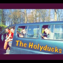 The HolyDucks - Live Gala Icam [27/01/2018]