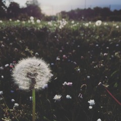 HOME - feat Whizz