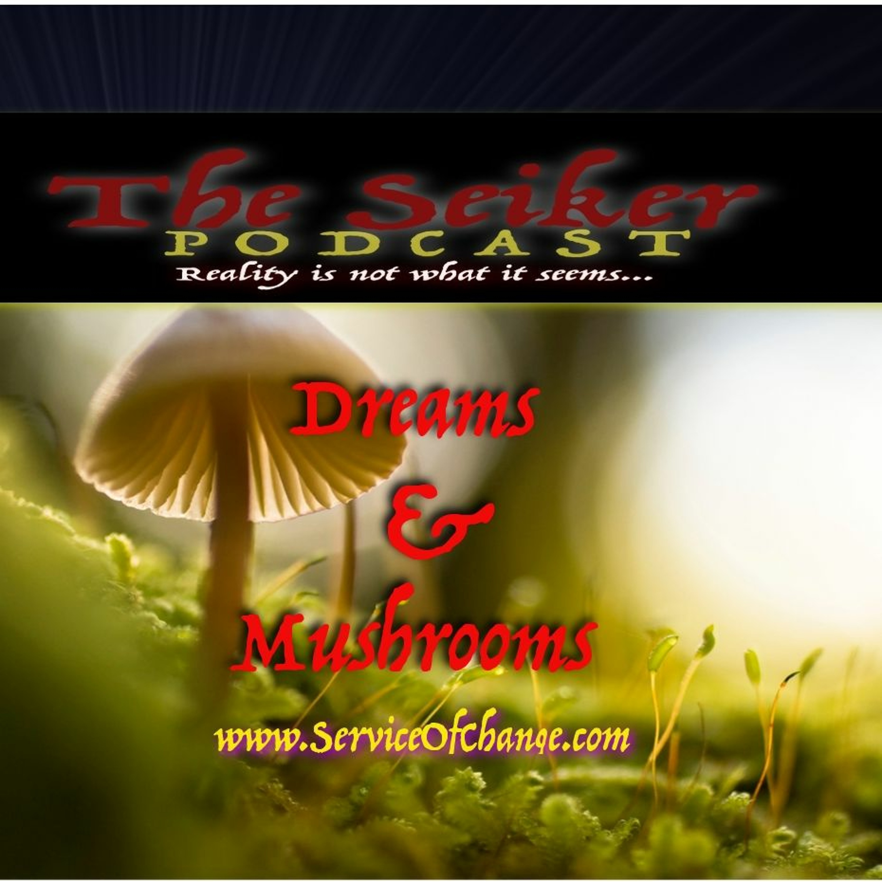 The Seiker Podcast