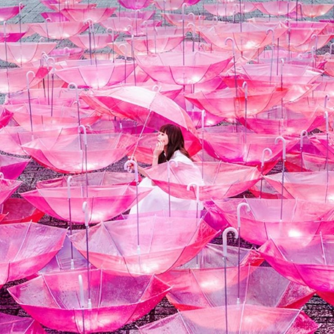 Stream Ref:rain Aimer [HotaruHikari] Cover Guitar Fingerstyle by