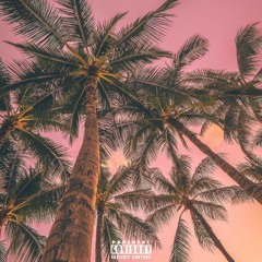 The Feel (feat. Peri X)