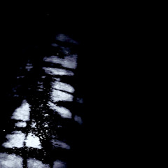 (H) You want me dead