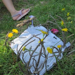De Pestañas Bajo Las Flores