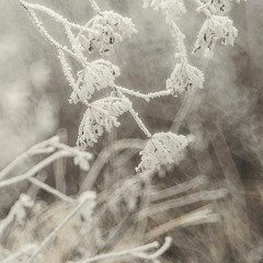 Képeshang - Bak Bálint: Freezing to Death