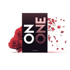 Slim Dinero - On One
