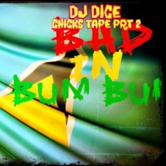 BAD IN BUM BUM CHICKS TAPE PRT 2  - DJ DICE (SOCA, DANCEHALL , AFROBEATS