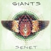 GIANTS artwork