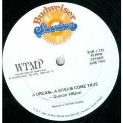 Quintin Wilson - A Dream...A Dream Come True 12'' U.S (Very Rare Budweiser) 1987