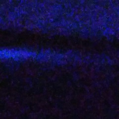 ALL!! YALL Niggas Hate (official song) By YoungMoneyJay