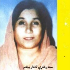Old Pashto Song Gulnar Begum Film Baaghi - YouTube