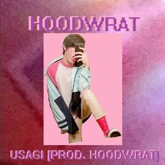 HOODWRAT - USAGI [PROD. HOODWRAT]