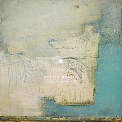 Monty Adkins - Burnt Sun