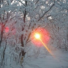 Круговорот