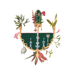 Caetano Veloso - Guá (Pigmalião & Facchi Rework)