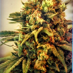 cant believe its hot gutter