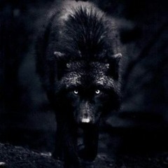 Wolf Down