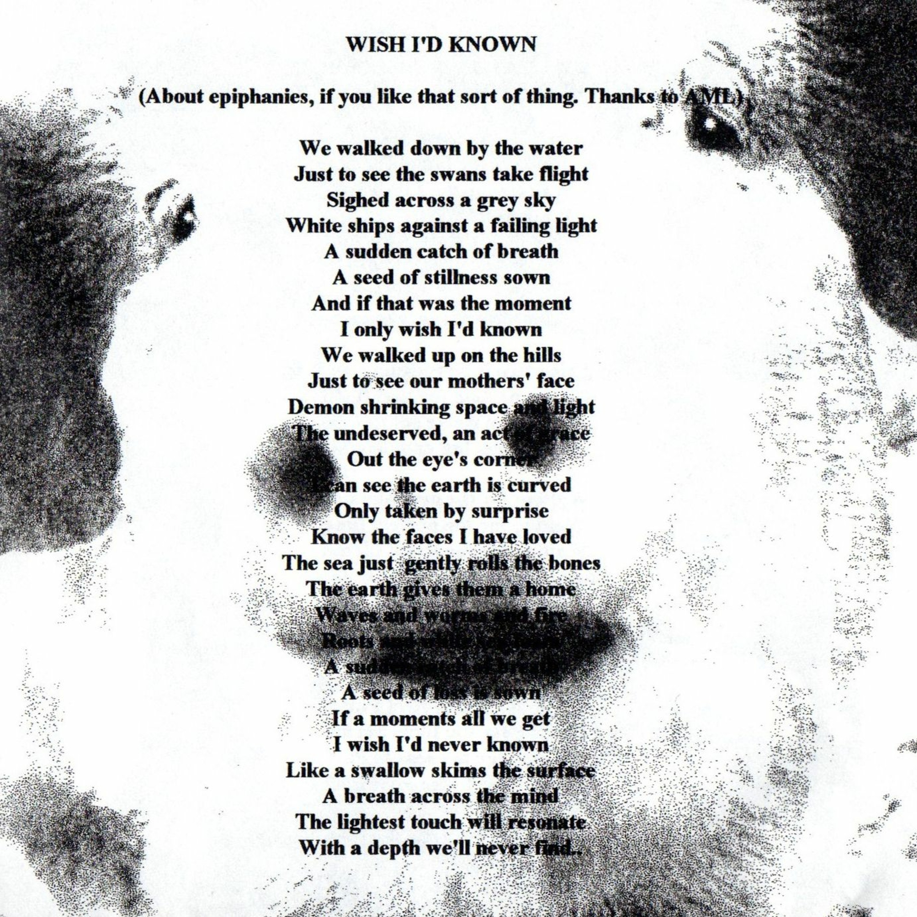 Pyg: Wish I'd Known