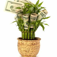 Affirmation Song- Money Is Easy By Bo Westcott