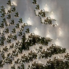 Fractal Inconsistency