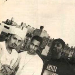 The Beatnuts - Do You Believe (REMIX)
