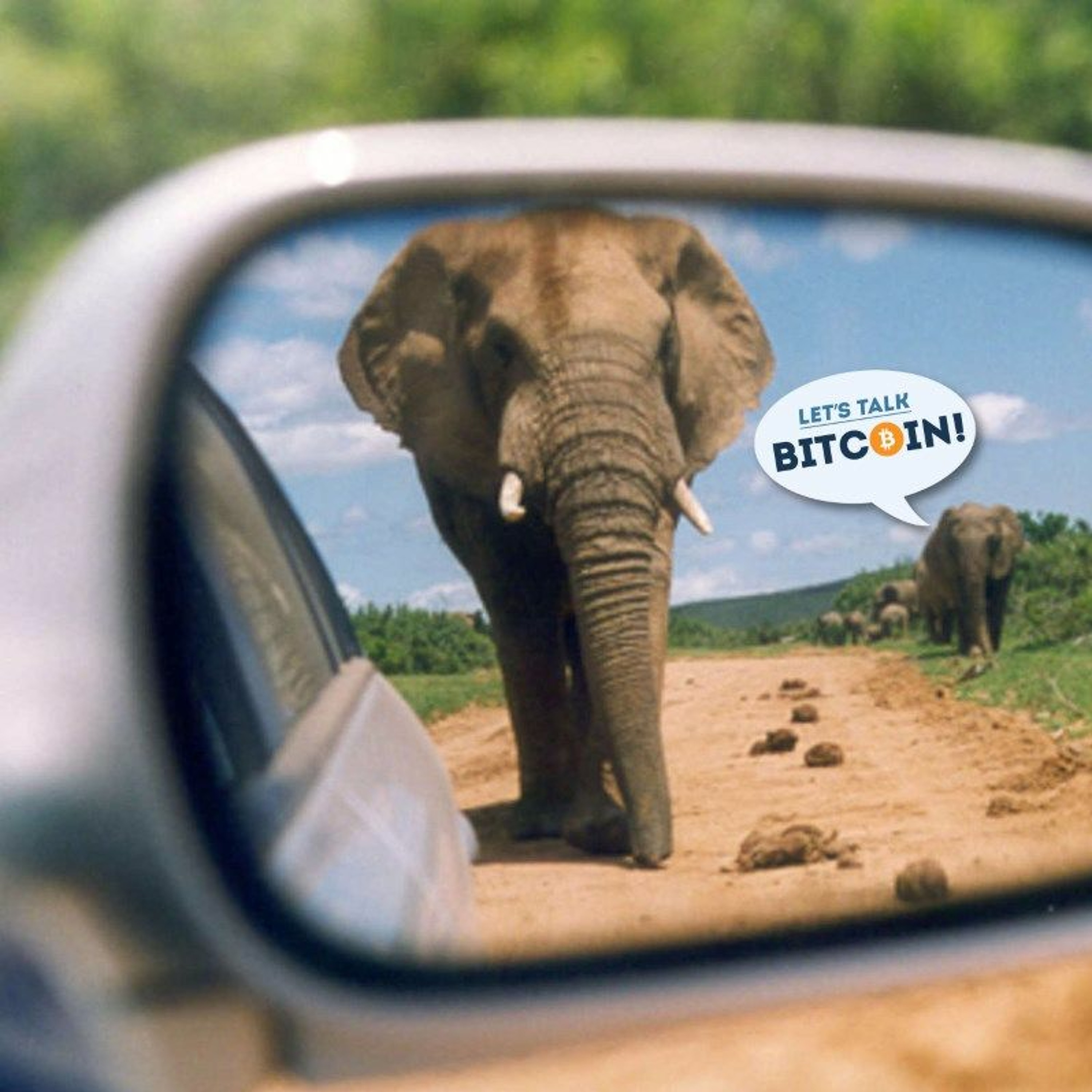 LTB #355 - Pachyderms and Politics