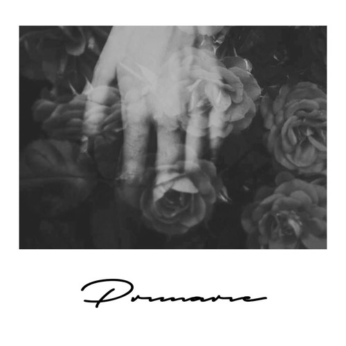 #082 Primarie