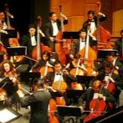 orkestra4