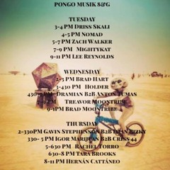 Brad Hart live from the Pongo lounge Burning man 2017