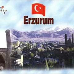 Özcan türe gidirem