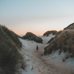 Ferven - When We Were Younger