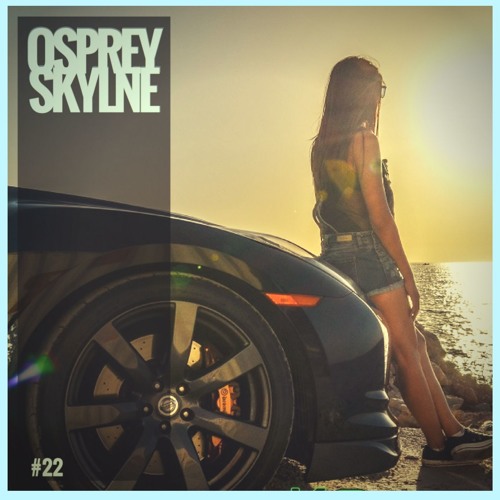 Day22 - Skylne - Osprey.Beats