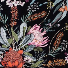 Dein Hurra - Bosse (Cover)