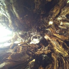 Wychwood (Rough Recording)