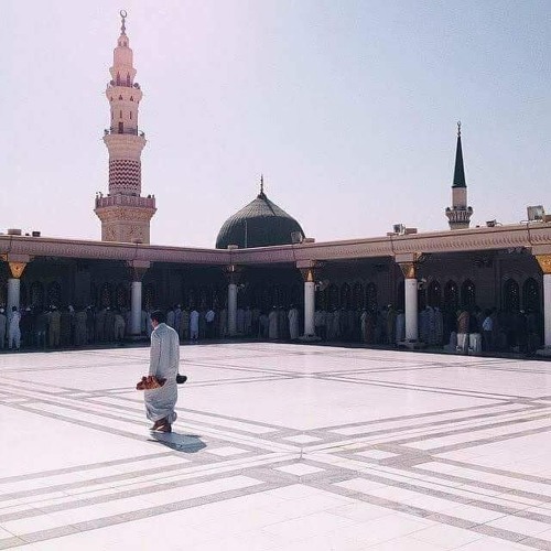 إِنَّ لِلْمُتَّقِينَ مَفَازًا | زيد الشنطي
