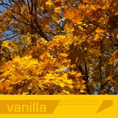 Vanilla