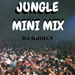 JUNGLE MINIMIX DJ Quigly