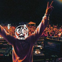PARROTICE @ FRACTAL BEACH 2018