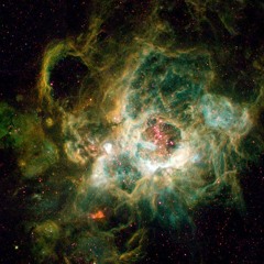NGC 604