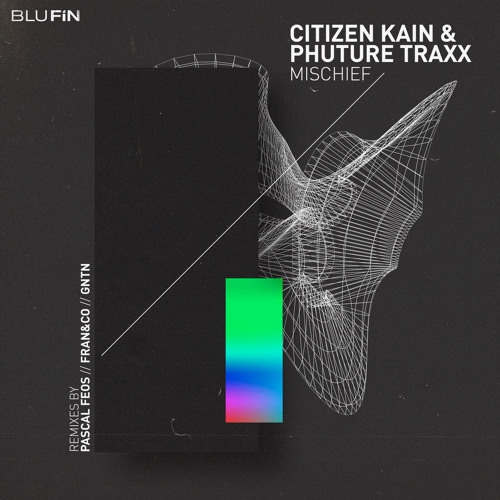 Premiere: Citizen Kain & Phuture Traxx - Mischief (GNTN Remix) [BluFin Records]