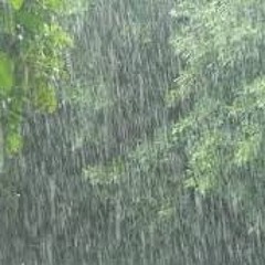 20171118 Pocket Trumpet and Rain