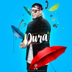 DURA - DADDY YANKEE - ALEE DJ Ft. MATII RMX