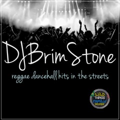 DJBRIMSTONE-REGGAE DANCEHALL HITS IN THE STREETS Vol.1