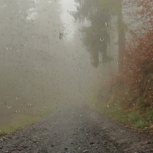 rain sounds thunder for sleeping rain sounds thunder for sleeping