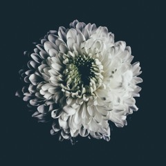 Para Kay Prince Charming by xannedaymorning (original song)