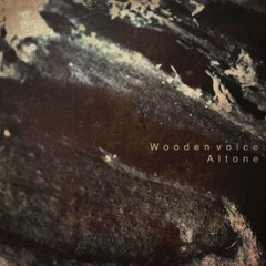 Wooden voice .version2