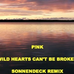 P!NK - WILD HEARTS (SONNENDECK REMIX)
