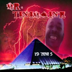 Mr Tinimaine - Voices in my head
