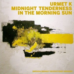 Urmet K- In The Morning Sun